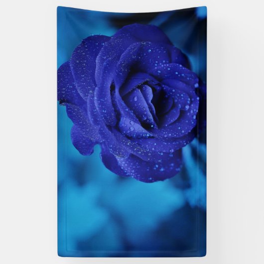 Blue Dewdrop Roos Spandoek (Verticaal)