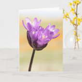 Blue Dick Wildflower Kaart (Gele Bloem)