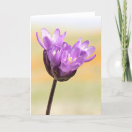 Blue Dick Wildflower Kaart