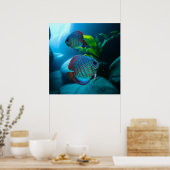 Blue Discus Fish Aquarium Fish Tank Art Poster (Keuken)