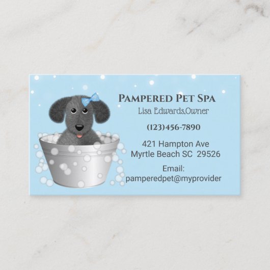 Blue Dog Grooming Dog Spa Appointcard Afsprakenkaartje (Voorkant)