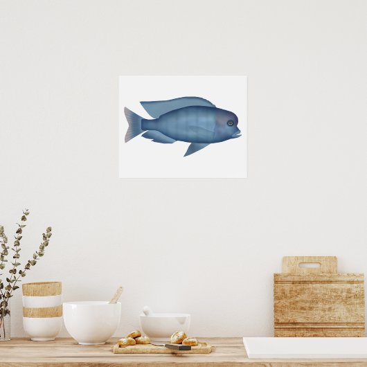 Blue Dolphin Cichlid Poster (Keuken)
