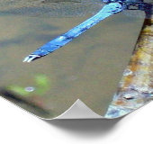 Blue DragonFly 2 Poster (Hoek)