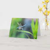 Blue Dragonfly Blank Wenskaart Kaart (Gele Bloem)