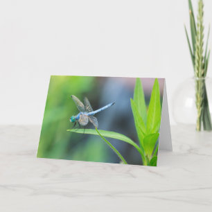 Blue Dragonfly Blank Wenskaart Kaart
