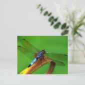 Blue Dragonfly Briefkaart (Staand voorkant)