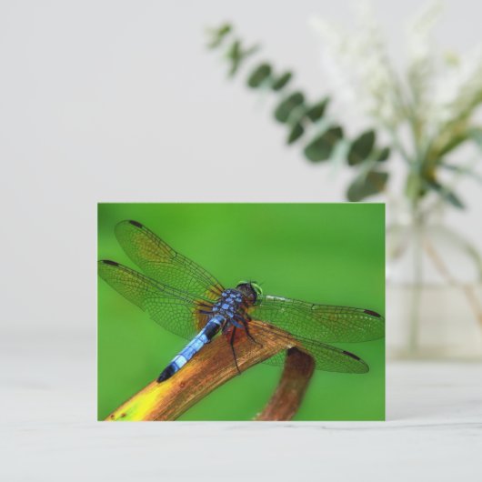 Blue Dragonfly Briefkaart (Staand voorkant)