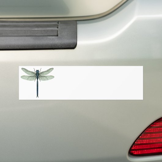 Blue Dragonfly Bumpersticker (Op auto)