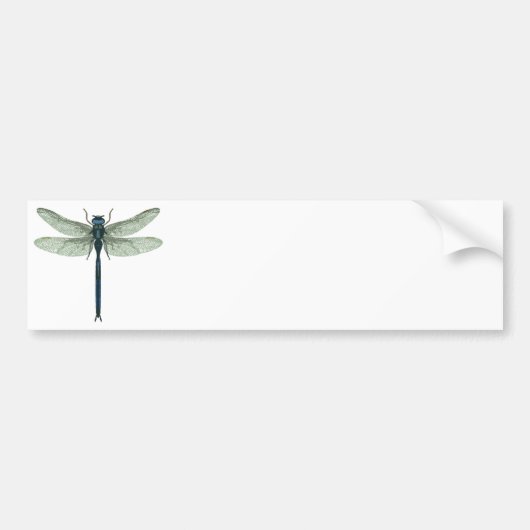 Blue Dragonfly Bumpersticker (Voorkant)