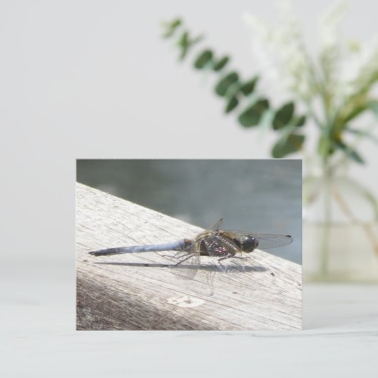 Blue Dragonfly DIY Briefkaart (Staand voorkant)