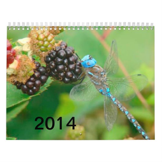 Blue Dragonfly Eating Raspberries Calendar Kalender (Hoes)
