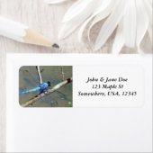 Blue DragonFly Etiket (Insitu)