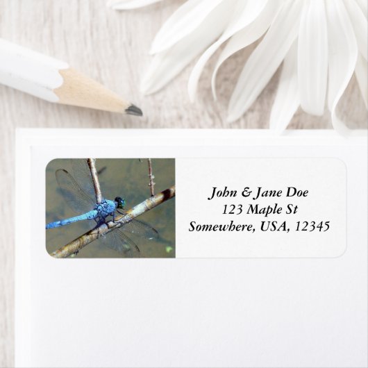 Blue DragonFly Etiket (Insitu)