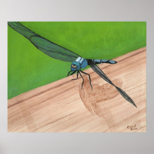 Blue Dragonfly Insect op een Poster