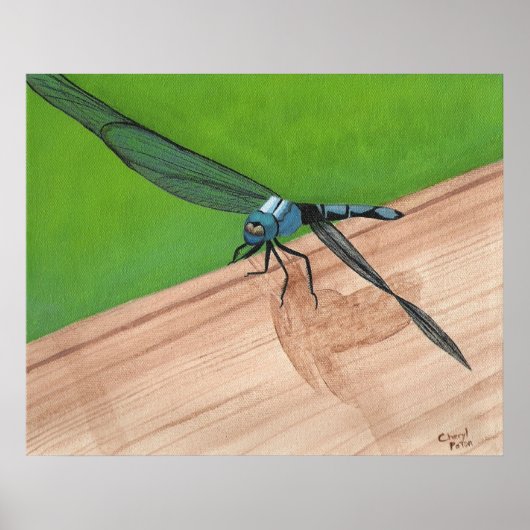 Blue Dragonfly Insect op een Poster (Voorkant)