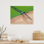 Blue Dragonfly Insect op een Poster (Keuken)