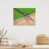 Blue Dragonfly Insect op een Poster (Keuken)