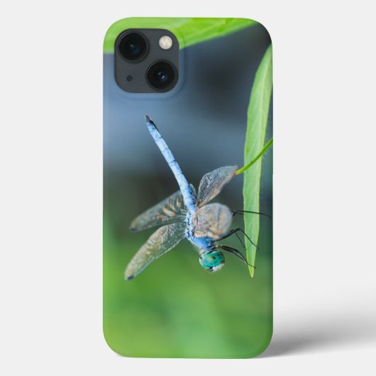 Blue Dragonfly iPad of Phone Case (Achterkant)