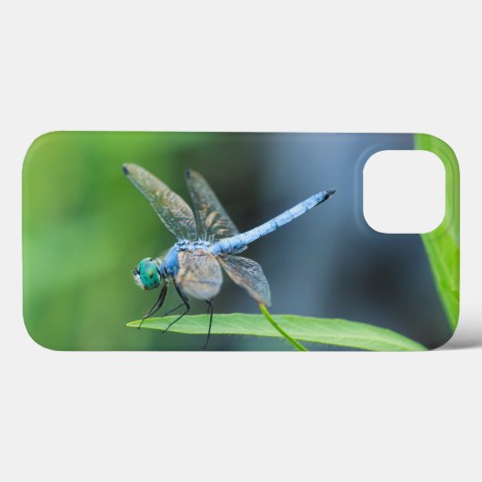 Blue Dragonfly iPad of Phone Case (Achterkant (horizontaal))