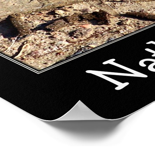 Blue Dragonfly Kinder Room Specialized Room Poster (Hoek)