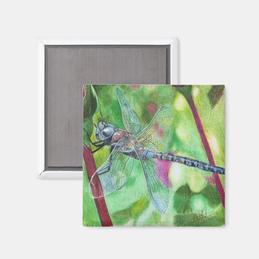 Blue Dragonfly Magneet (Voorkant / Achterkant)