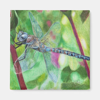 Blue Dragonfly Magneet