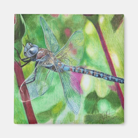 Blue Dragonfly Magneet (Voorkant)