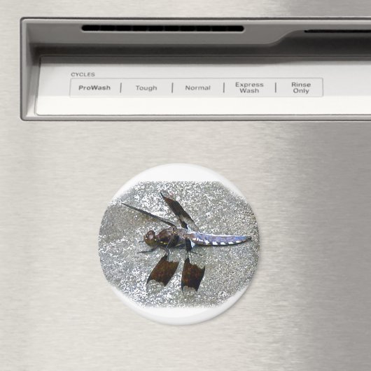 Blue Dragonfly Magneet (Insitu (Vaatwasser))