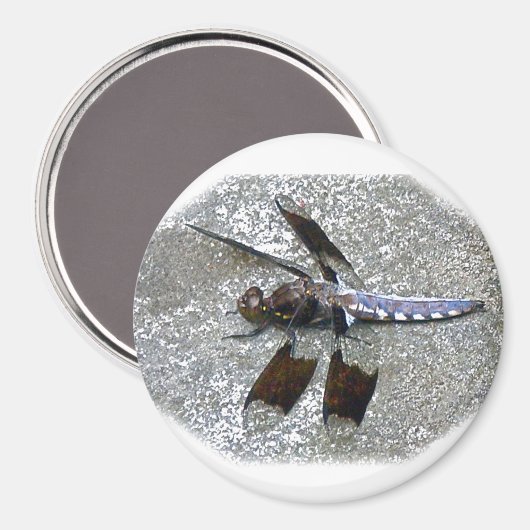 Blue Dragonfly Magneet (Voorkant / Achterkant)