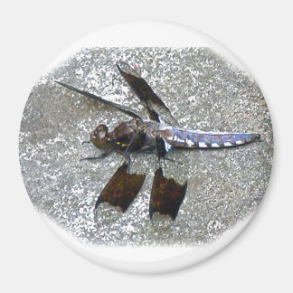 Blue Dragonfly Magneet