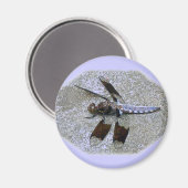 Blue Dragonfly Magneet (Voorkant / Achterkant)