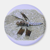 Blue Dragonfly Magneet (Voorkant)