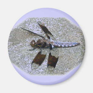 Blue Dragonfly Magneet