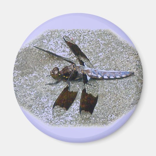 Blue Dragonfly Magneet (Voorkant)