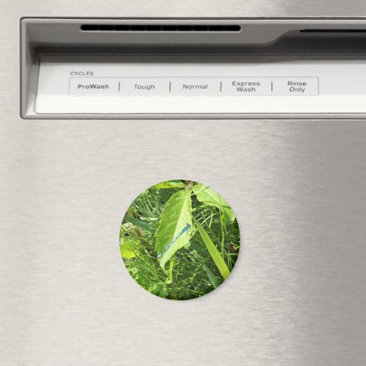 Blue Dragonfly Magnet (Insitu (Vaatwasser))