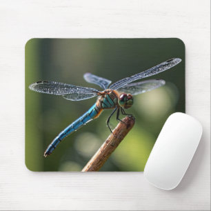 Blue Dragonfly Muismat