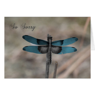 Blue Dragonfly-Natuur