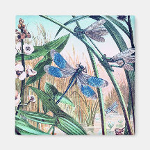 Blue Dragonfly op de afbeelding van de vijver