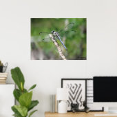 Blue Dragonfly op Perch Poster (Thuiskantoor)