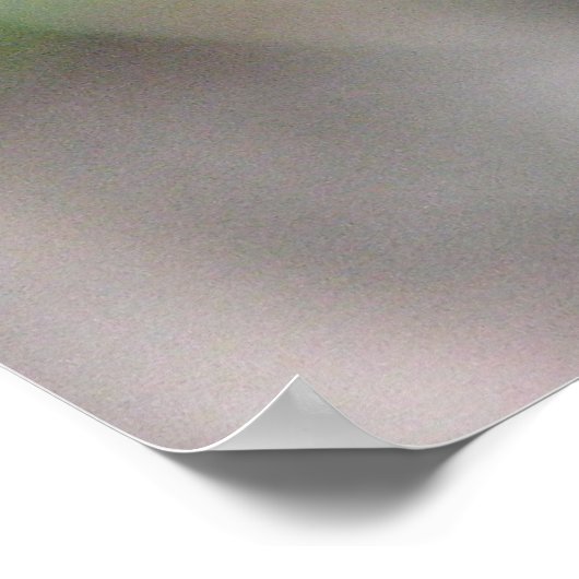 Blue Dragonfly op Perch Poster (Hoek)