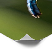 Blue Dragonfly Poster (Hoek)