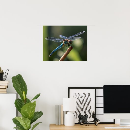 Blue Dragonfly Poster (Thuiskantoor)