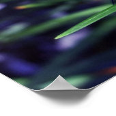 Blue Dragonfly Poster (Hoek)