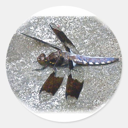Blue Dragonfly Ronde Sticker (Voorkant)