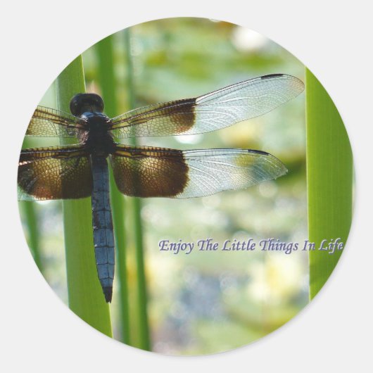Blue Dragonfly Sticker (Voorkant)