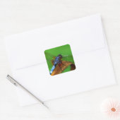 Blue Dragonfly Vierkante Sticker (Envelop)