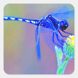 Blue Dragonfly Vierkante Sticker