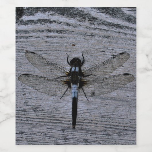 Blue Dragonfly Wijn Etiket (Enkel label)