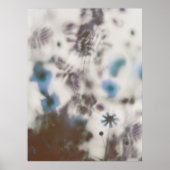 Blue Dreamweaver Soft Wildbloemen Poster (Voorkant)