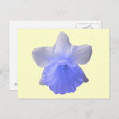 Blue Dripping Daffodil Flower Briefkaart (Voorkant / Achterkant)